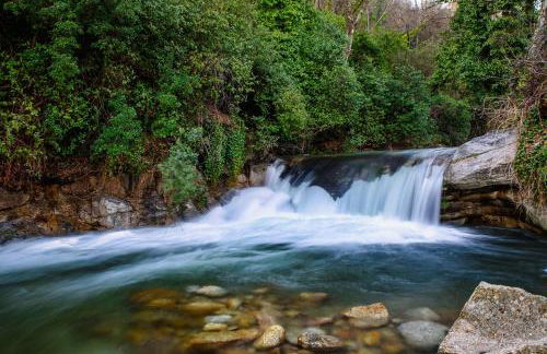Apartamentos Rurales La Gloria de Yuste - Foto 46