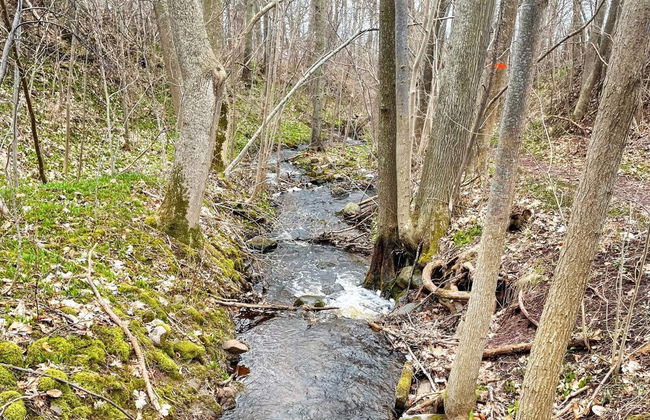 4 Person Holiday Home in Granna - Photo 5