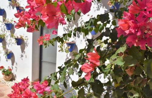 Patio San Andrés -2 llaves- - Photo 49