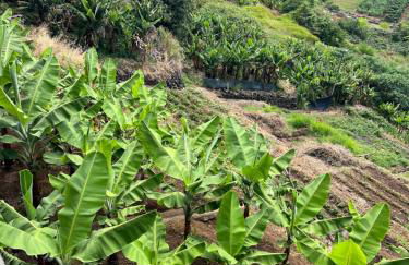 Rocha House - Foto 62