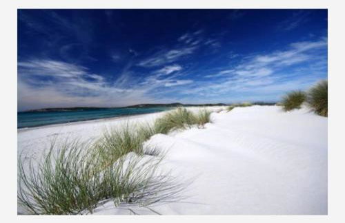 Rose e fiori - Foto 37