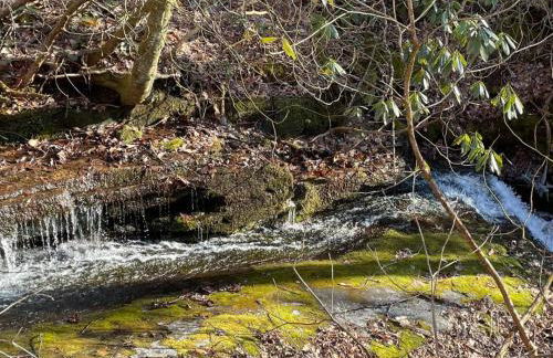 Glenna - Historic Cabin in the Florence Preserve - Foto 29