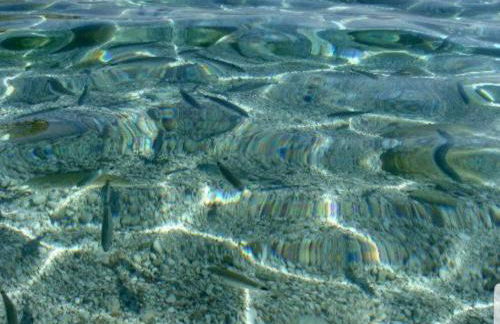 Casa Vacanze Sea-Life - Foto 41