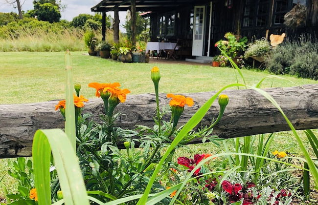 Dream the days away - The Rustic Barn - Foto 49