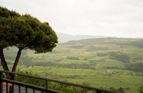 Apartment Valpolicella - Photo 26