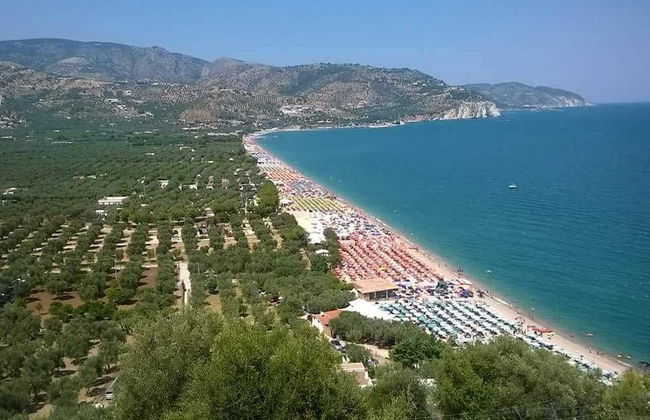 Tenuta Santa Maria - Foto 57