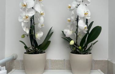 Il Ciliegio - House with Garden & Wonderful View - Foto 19