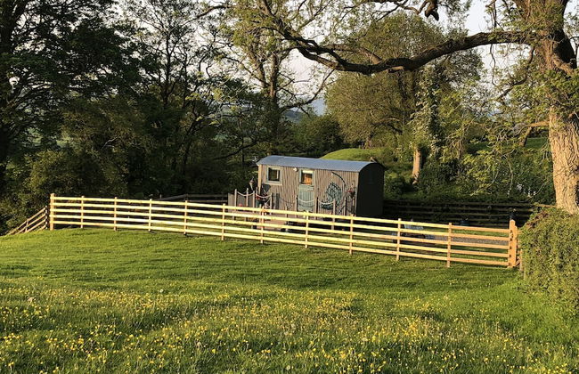 The Peacock Shepherds Hut at Hafoty Boeth - Foto 25