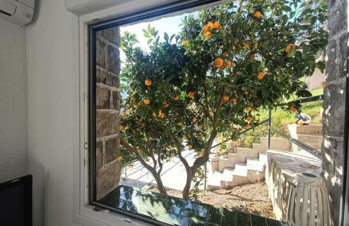 Casa Hegoa - Foto 19