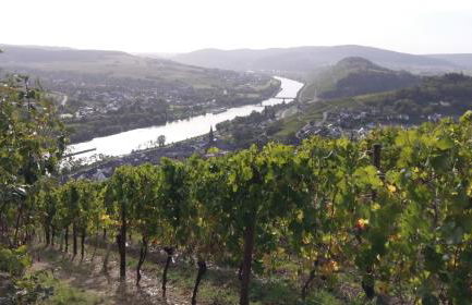 FeWo Sonnenlay - Apartments an der Mosel - Foto 21