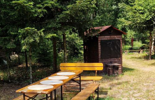 Rybaki 26 - Dom nad brzegiem Warty - Foto 14