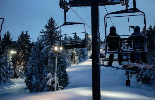 RF219 Hot tub,Heated garage and Parking - Foto 27