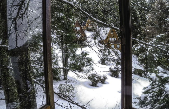 Cabañas Villa Pañil - Foto 52