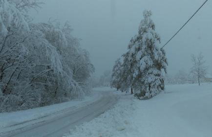 Apartment Petrovic - Foto 39