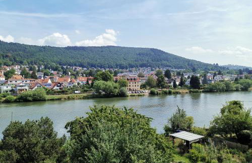 Ferienwohnungen Flussufer - Neckargemünd Altstadt - Foto 48