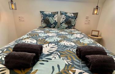 gite des hirondelles o - Foto 23