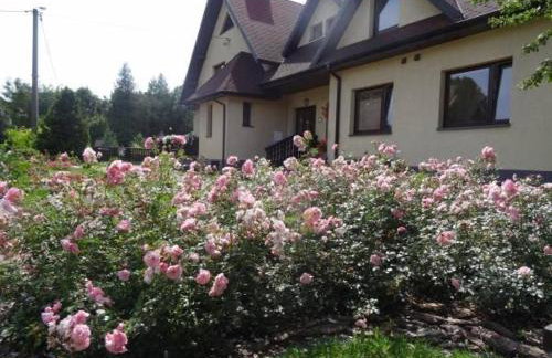 SKALNY apartamenty, pokoje - Foto 54