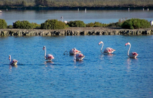 Apartamento Salamanca 38 - Foto 18