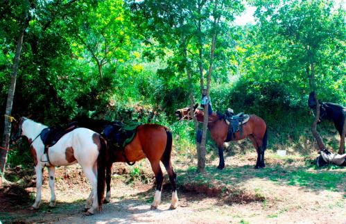 Casale Margherita Turismo Rurale - Foto 36
