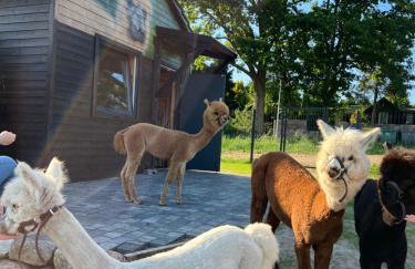 Ulinia Zacisze Dom Comfort 70m2 - Photo 62