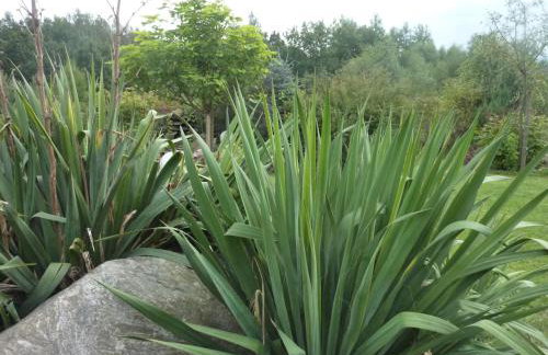 Sowi Dworek - Foto 32