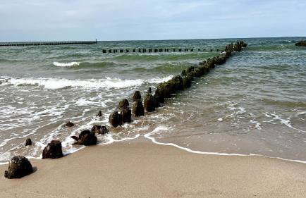 Kolorowe Domki - Foto 40