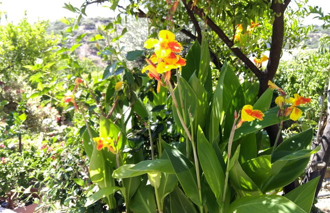 Spaceful Apartment With Veranda 'n Garden - Foto 22