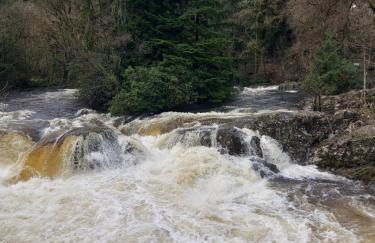 Glenwood luxury Cottage Betws-y-coed - Foto 43