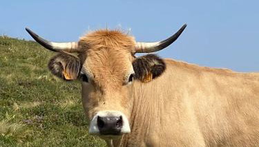 Appartement de 4 à 6 Personnes - Foto 4