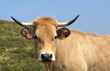 Appartement de 4 à 6 Personnes - Foto 4