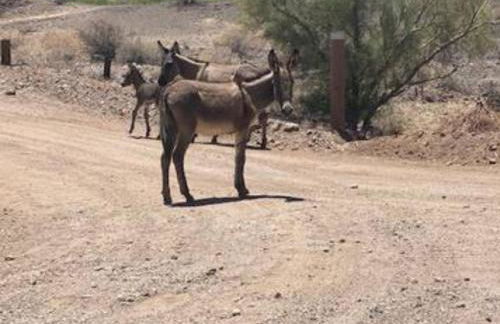 Twilight Tides Riverside - Foto 13