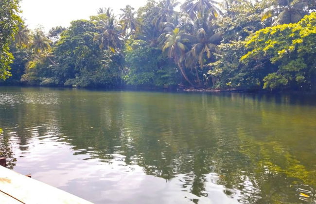 Serene Vista Villa - Foto 31