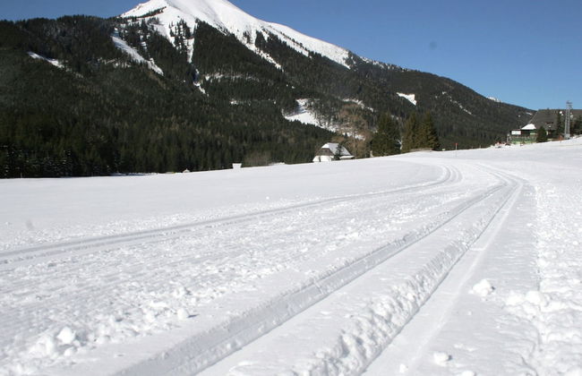 Chalet in Hohentauern Near Ski Lift - Foto 38