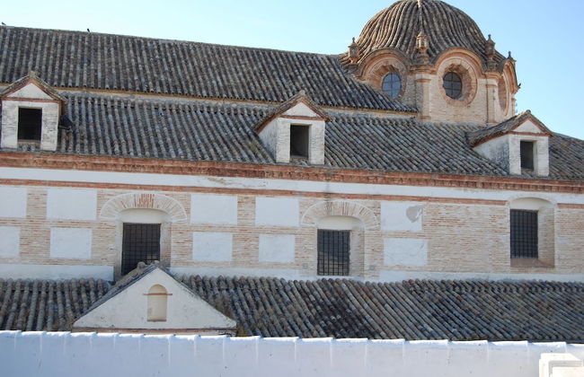 El patio del limonero - Foto 30