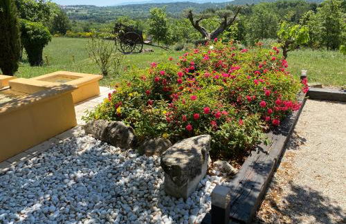 Location bastide provencale Luberon - Foto 40
