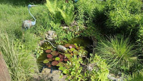 Naturnah in Hellenthal - Photo 5, Garden