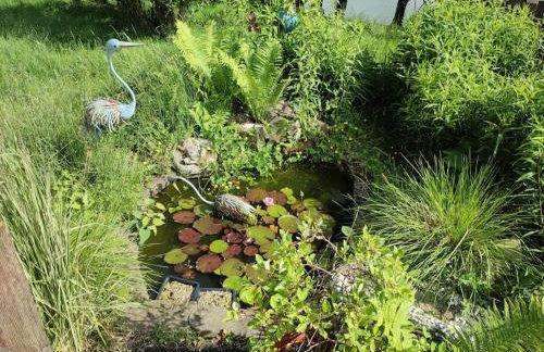 Naturnah in Hellenthal - Photo 5