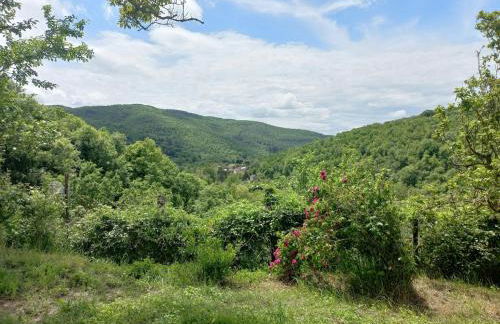 Alloro, accogliente monolocale a Val di Nima, Arezzo - Foto 12