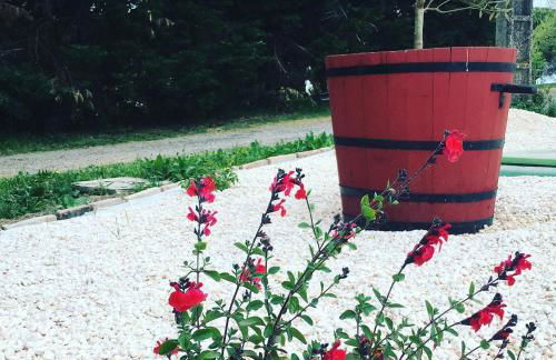 Gîte des moulins - Foto 30