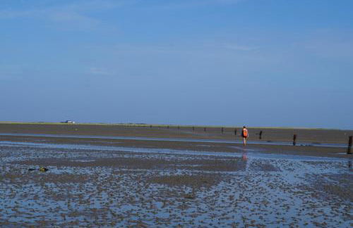 Villa Ludwig Fewo - Foto 25