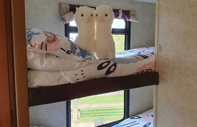 Glamping With Llamas - Foto 7