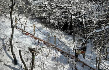 Holzhaus Devils Corner - Foto 4