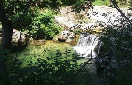 Le Farfalle - un angolo di quiete GREEN a Laghi in provincia di Vicenza - Photo 51
