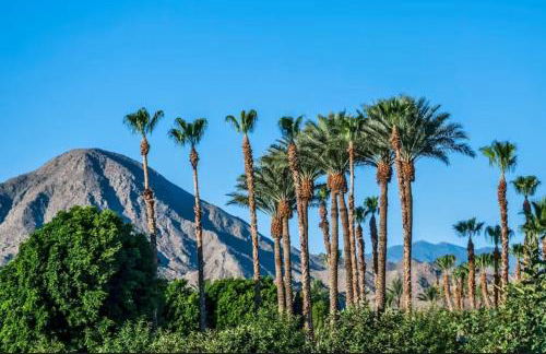 Indian Wells Mtn Cove with Kitchen Living Room Patio Firepit BBQ Tennis Stadium - Foto 14