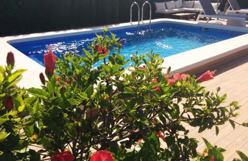 El Vivero del Mar Menor - Foto 14