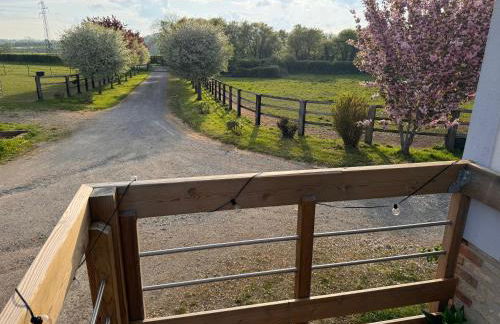 Gîte dans un petit haras - Foto 4