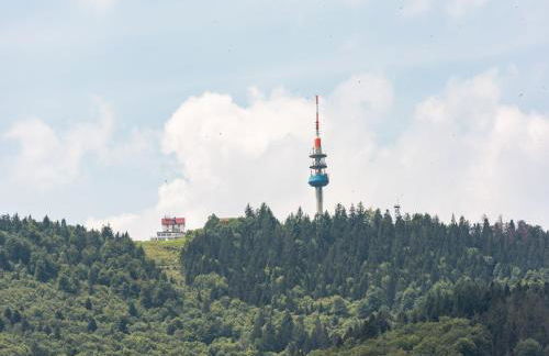 Flucht in Malsburg-Marzell - Foto 22