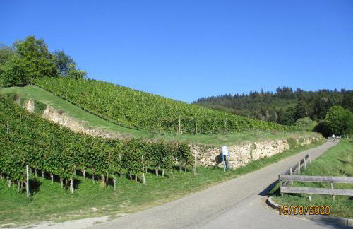 Ferienwohnung am Sulzbach - Photo 8