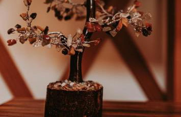 Healing Acres - Foto 10