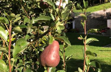 Planatschhof - Photo 60